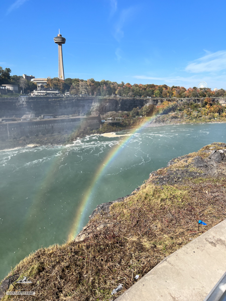 niagara-4