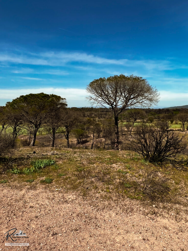 frejus-9